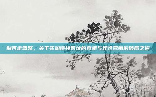 别再走弯路，关于买粉链接网址的真相与理性营销的破局之道