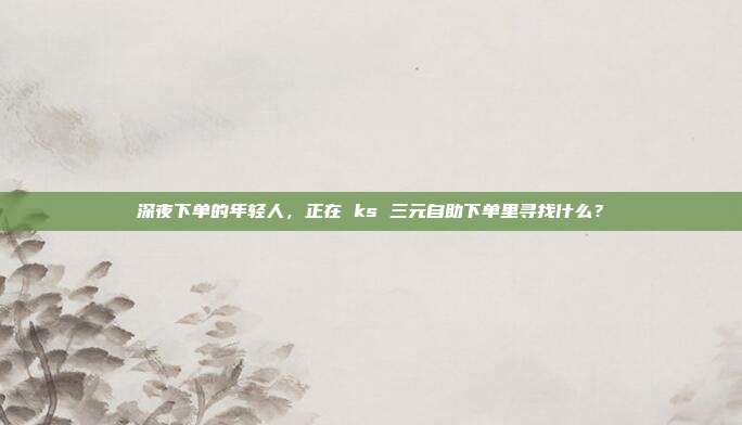 深夜下单的年轻人，正在 ks 三元自助下单里寻找什么？