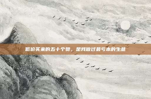 低价买来的五十个赞,是我做过最亏本的生意