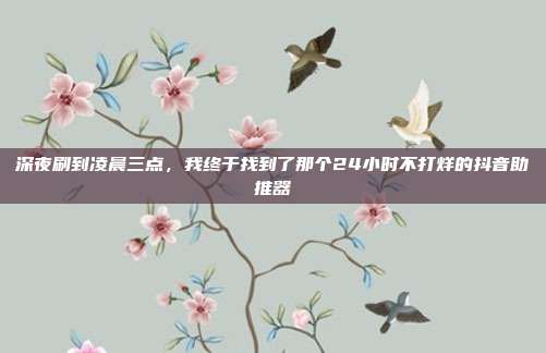 深夜刷到凌晨三点,我终于找到了那个24小时不打烊的抖音助推器