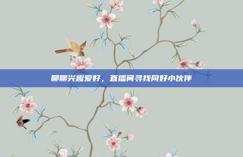 聊聊兴趣爱好,直播间寻找同好小伙伴
