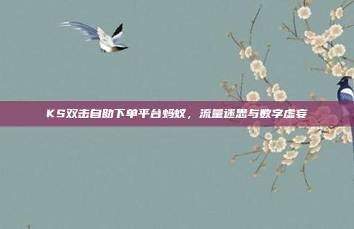 KS双击自助下单平台蚂蚁,流量迷思与数字虚妄