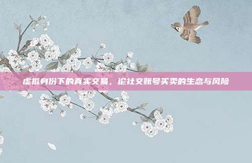虚拟身份下的真实交易,论社交账号买卖的生态与风险