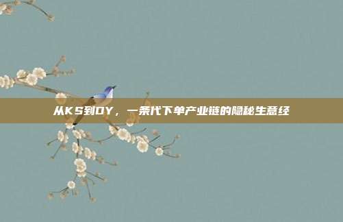 从KS到DY，一条代下单产业链的隐秘生意经