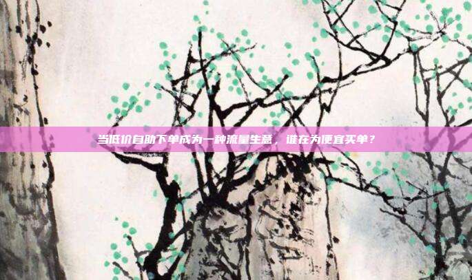 当低价自助下单成为一种流量生意,谁在为便宜买单?