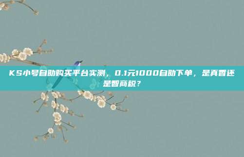 KS小号自助购买平台实测,0.1元1000自助下单,是真香还是智商税?