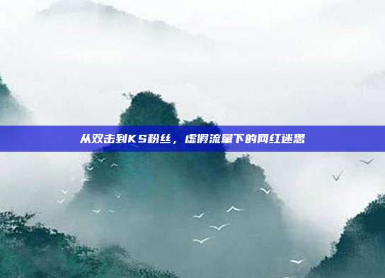 从双击到KS粉丝,虚假流量下的网红迷思