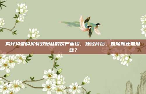 揭开抖音购买有效粉丝的灰产面纱，捷径背后，是深渊还是坦途？