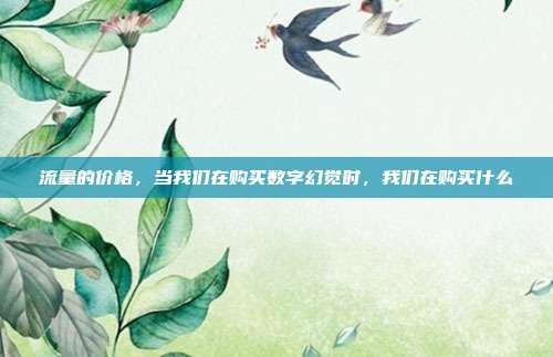流量的价格,当我们在购买数字幻觉时,我们在购买什么