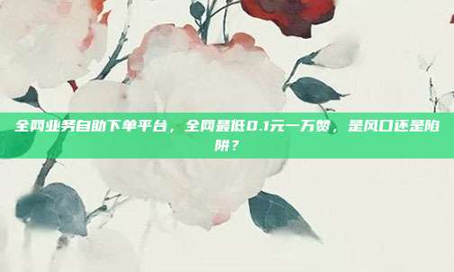 全网业务自助下单平台，全网最低0.1元一万赞，是风口还是陷阱？