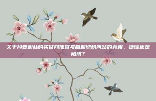 关于抖音粉丝购买官网便宜与自助涨粉网站的真相,捷径还是陷阱?