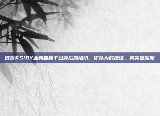 低价KS/DY业务自助平台背后的陷阱,你以为的捷径,其实是深渊