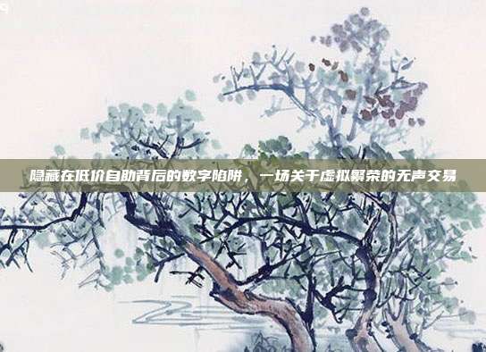 隐藏在低价自助背后的数字陷阱,一场关于虚拟繁荣的无声交易