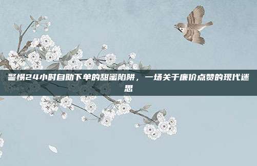 警惕24小时自助下单的甜蜜陷阱,一场关于廉价点赞的现代迷思