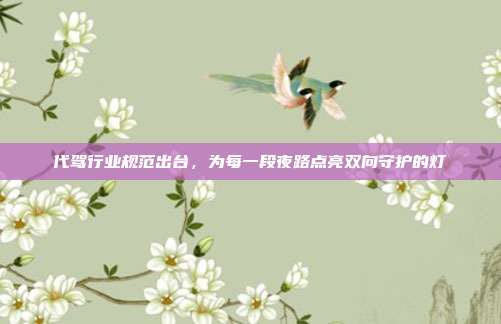 代驾行业规范出台,为每一段夜路点亮双向守护的灯