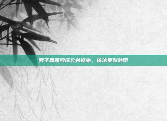 男子恶意毁坏公共设施,依法受到处罚