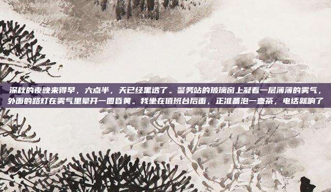 深秋的夜晚来得早,六点半,天已经黑透了。警务站的玻璃窗上凝着一层薄薄的雾气,外面的路灯在雾气里晕开一圈昏黄。我坐在值班台后面,正准备泡一壶茶,电话就响了