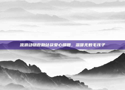 流浪动物救助站获爱心捐赠,温暖无数毛孩子