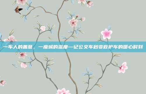 一车人的善意,一座城的温度—记公交车秒变救护车的暖心时刻