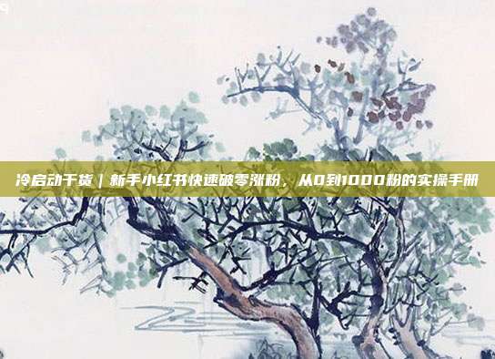 冷启动干货|新手小红书快速破零涨粉,从0到1000粉的实操手册