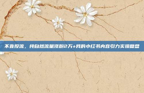 不靠投流,纯自然流量涨粉2万+我的小红书内容引力实操复盘