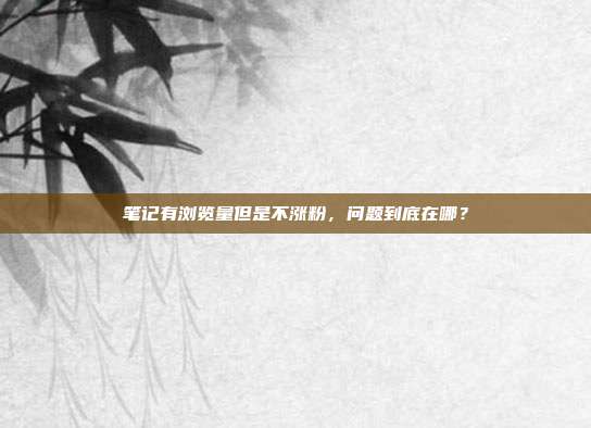 笔记有浏览量但是不涨粉,问题到底在哪?