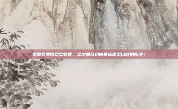 视频号每周复盘数据,是加速涨粉的捷径还是自嗨的陷阱?