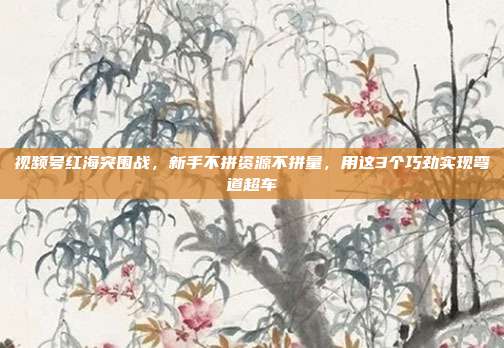 视频号红海突围战,新手不拼资源不拼量,用这3个巧劲实现弯道超车