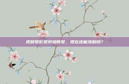 视频号影视剪辑账号，现在还能涨粉吗？