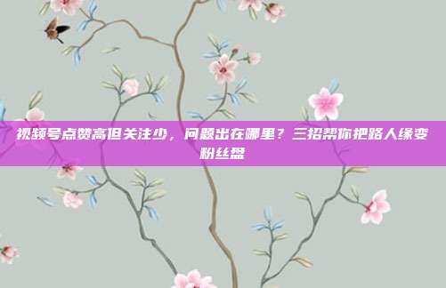 视频号点赞高但关注少，问题出在哪里？三招帮你把路人缘变粉丝盘