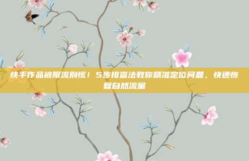 快手作品被限流别慌!5步排查法教你精准定位问题,快速恢复自然流量