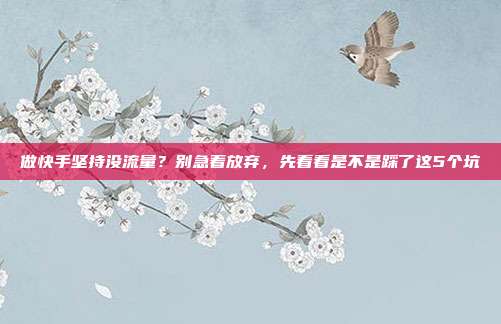 做快手坚持没流量?别急着放弃,先看看是不是踩了这5个坑