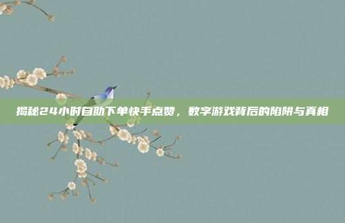 揭秘24小时自助下单快手点赞,数字游戏背后的陷阱与真相