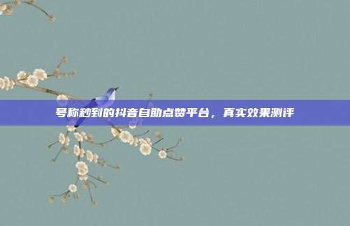 号称秒到的抖音自助点赞平台，真实效果测评