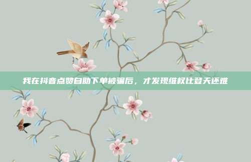 我在抖音点赞自助下单被骗后，才发现维权比登天还难