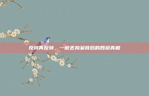 反转再反转,一桩丢狗案背后的四层真相