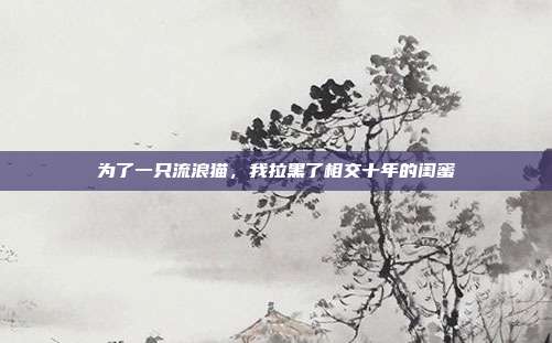 为了一只流浪猫,我拉黑了相交十年的闺蜜