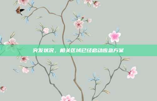 突发状况,相关区域已经启动应急方案