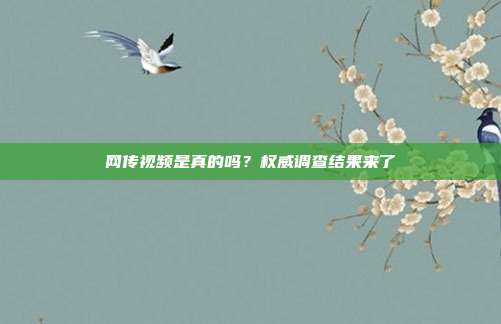 网传视频是真的吗？权威调查结果来了