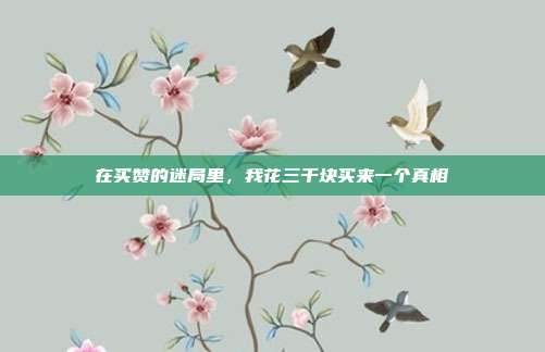 在买赞的迷局里,我花三千块买来一个真相