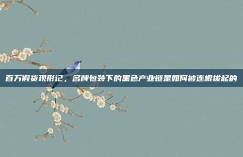 百万假货现形记,名牌包装下的黑色产业链是如何被连根拔起的
