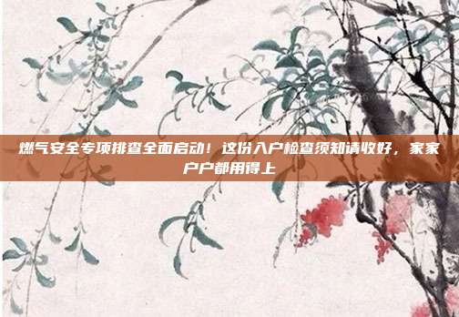 燃气安全专项排查全面启动!这份入户检查须知请收好,家家户户都用得上