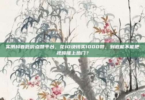实测抖音低价点赞平台,花10块钱买1000赞,到底能不能把视频推上热门?