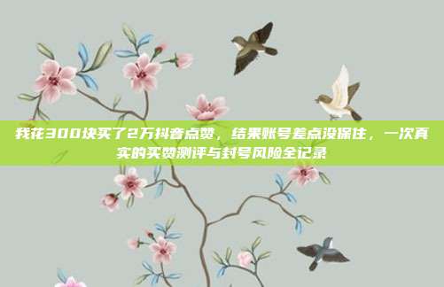 我花300块买了2万抖音点赞,结果账号差点没保住,一次真实的买赞测评与封号风险全记录
