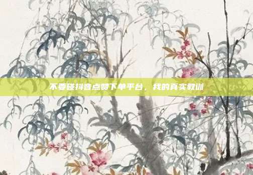 不要碰抖音点赞下单平台,我的真实教训