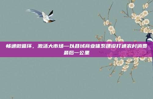 畅通微循环，激活大市场—以县域商业体系建设打通农村消费最后一公里