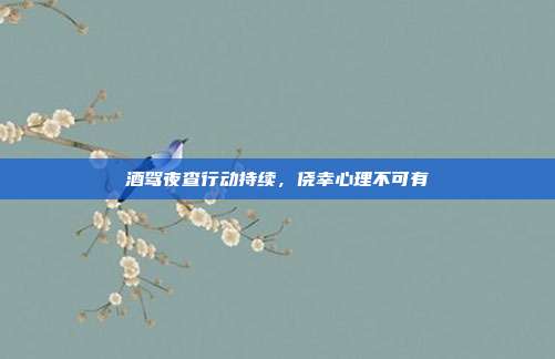 酒驾夜查行动持续,侥幸心理不可有