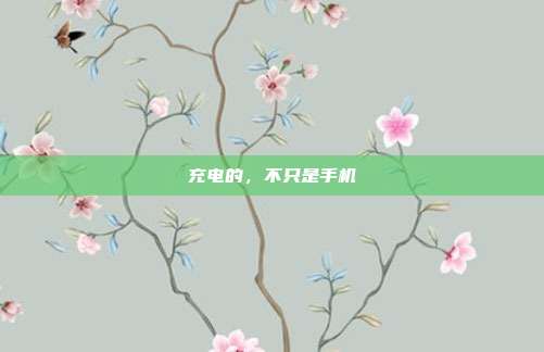 充电的,不只是手机