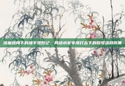 流量迷局下的推手现形记，网络水军专项打击下的账号落网风暴