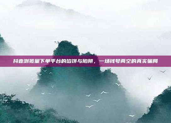抖音浏览量下单平台的馅饼与陷阱,一场钱号两空的真实骗局